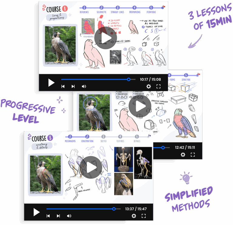 drawing course videos for beginners, easy method